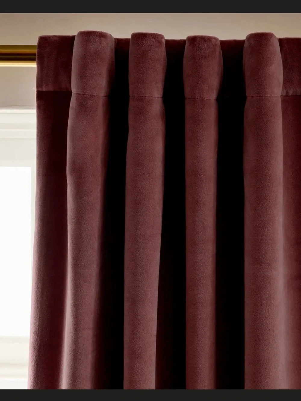 Quince cotton velvet